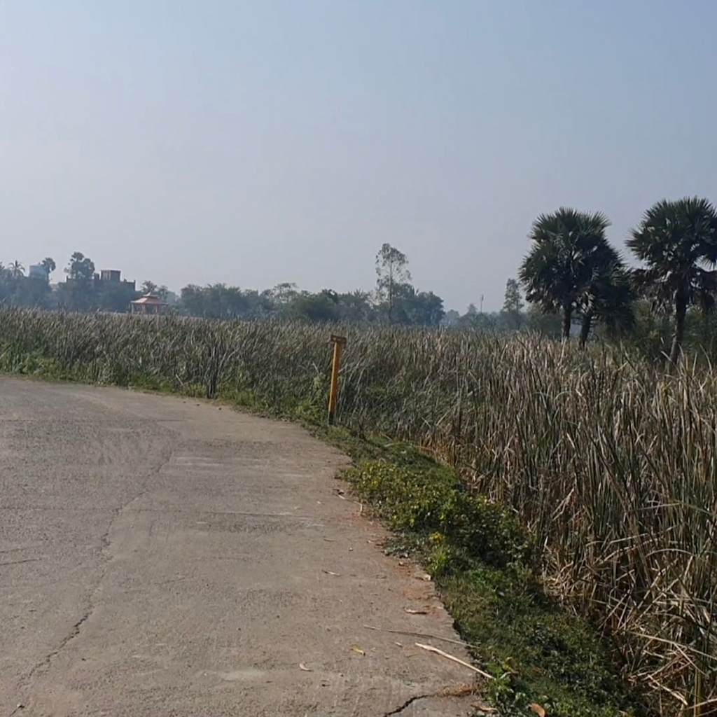 Screenshot_20230727_155944_Gallery