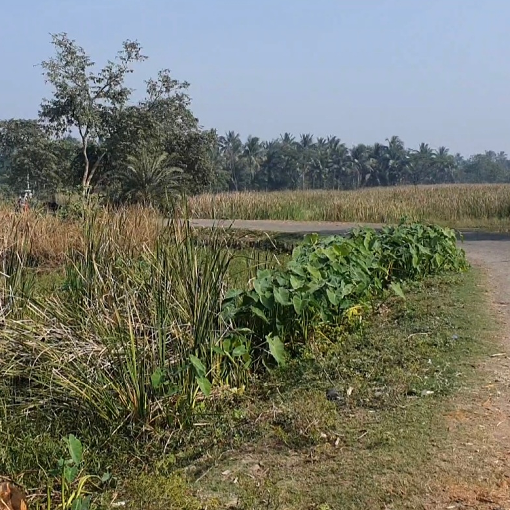 Screenshot_20230727_160004_Gallery