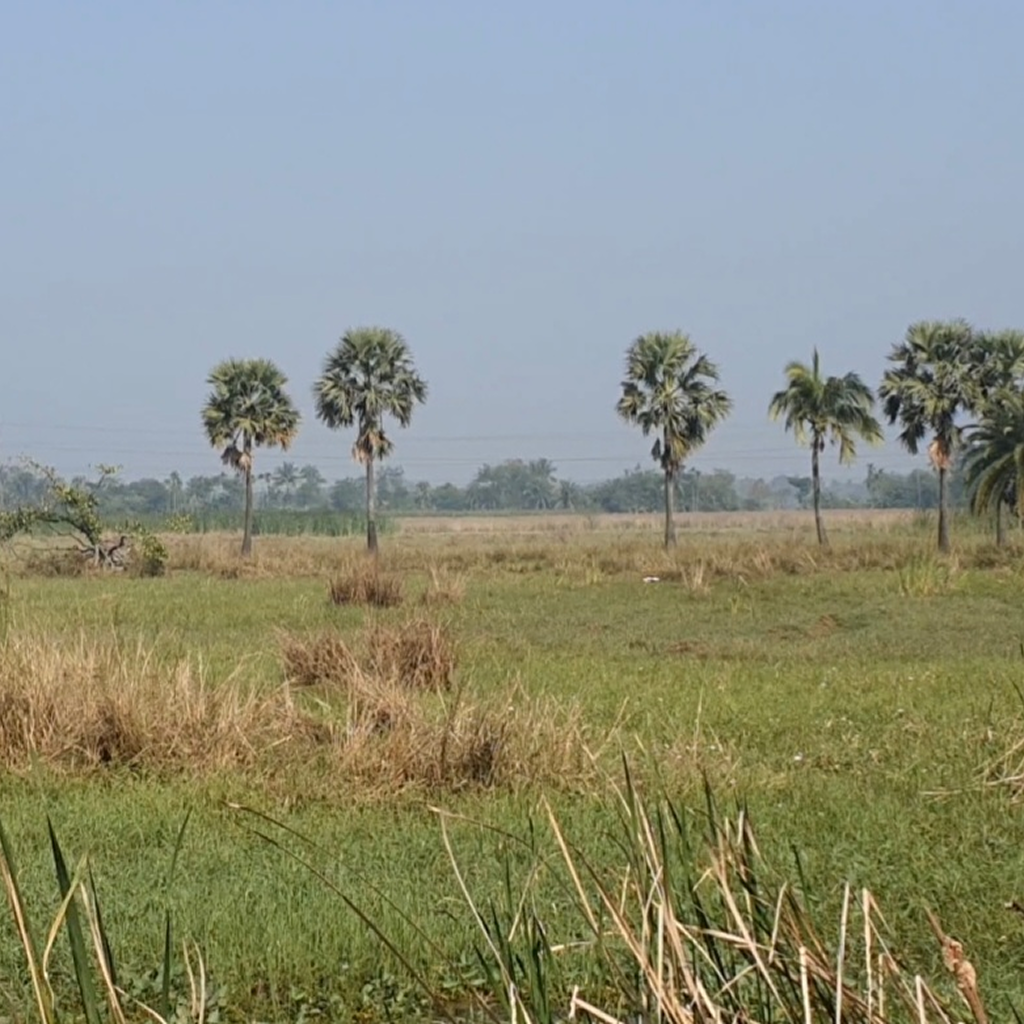 Screenshot_20230727_160013_Gallery